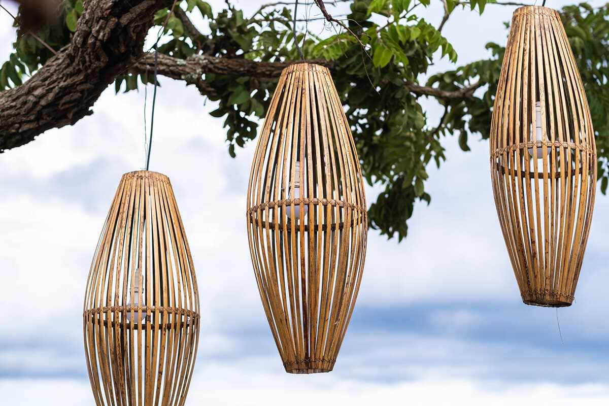 Luminárias artesanais de bambu penduradas no galho de uma árvore.